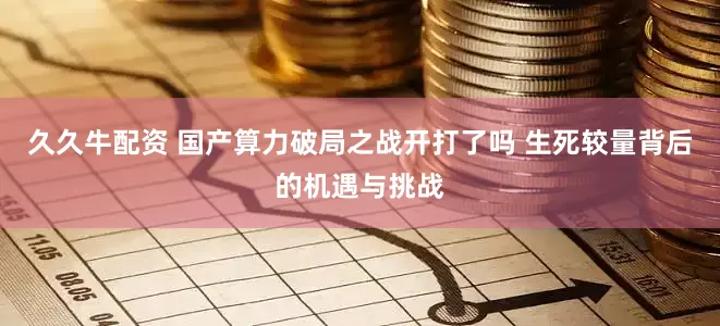 久久牛配资 国产算力破局之战开打了吗 生死较量背后的机遇与挑战