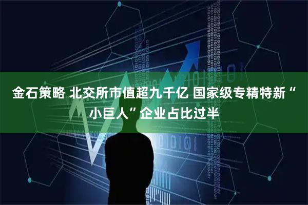 金石策略 北交所市值超九千亿 国家级专精特新“小巨人”企业占比过半