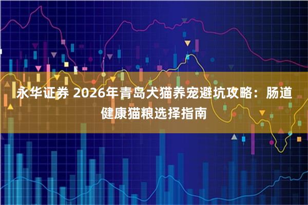 永华证券 2026年青岛犬猫养宠避坑攻略：肠道健康猫粮选择指南